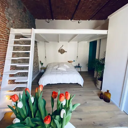 Civiconovantatre - New Bed & Breakfast San Vincenzo